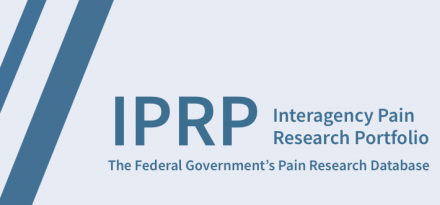Interagency Pain Research Portfolio The Federal Government's Pain Research Database logo