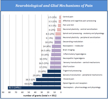 The Neurobiological and Glial Mechanisms of Pain chart shows the distribution of grants in the Tier 2 category, neurobiological and glial mechanisms of nociception, according to the Society for Neuroscience classifications for pain research. Central pain: 2.5, 1%.  Affective and cognitive pain processing: 3.5, 1%.  Pain and itch: 4.5, 1%.  Neuronal plasticity- central sensitization: 6, 2%.  Spinal cord processing- anatomy and physiology: 8.5, 2%.  Neuronal plasticity- peripheral sensitization: 9, 3%.  Desce