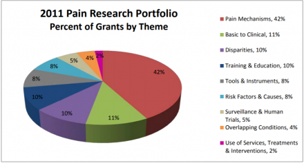 2011 Pain Research Portfolio; Percent of Grants by Theme.  Pain Mechanisms; 42%.  Basic to Clinical: 11%.  Disparities: 10%.  Training & Education: 10%.  Tools & Instruments: 8%.  Risk Factors & Causes: 8%.  Surveillance & Human Trials: 5%.  Overlapping Conditions: 4%.  Uses of services, treatments, & interventions: 2%.