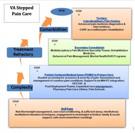 VA Stepped Pain Care model