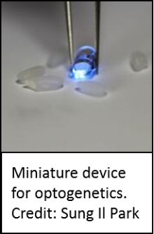 Miniature optogenetic device with grains of rice for size reference. Credit: Sung II Park