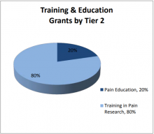 Training & Education Grants by Tier 2.  Training in Pain Research: 80%, Pain Education: 20%.