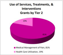 Uses of Services, Treatments & Interventions Grants by Tier 2.  Medical Management of Pain: 81%, Health Care Utilization: 19%.